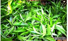 �ն��������ô�ţ�һ���˹⻹�Ǻȵ��˵�